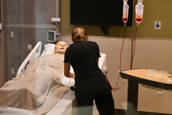 A student practices placing an IV in simulation suite.