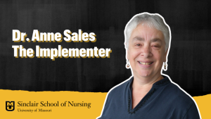 dr anne sales the implementer